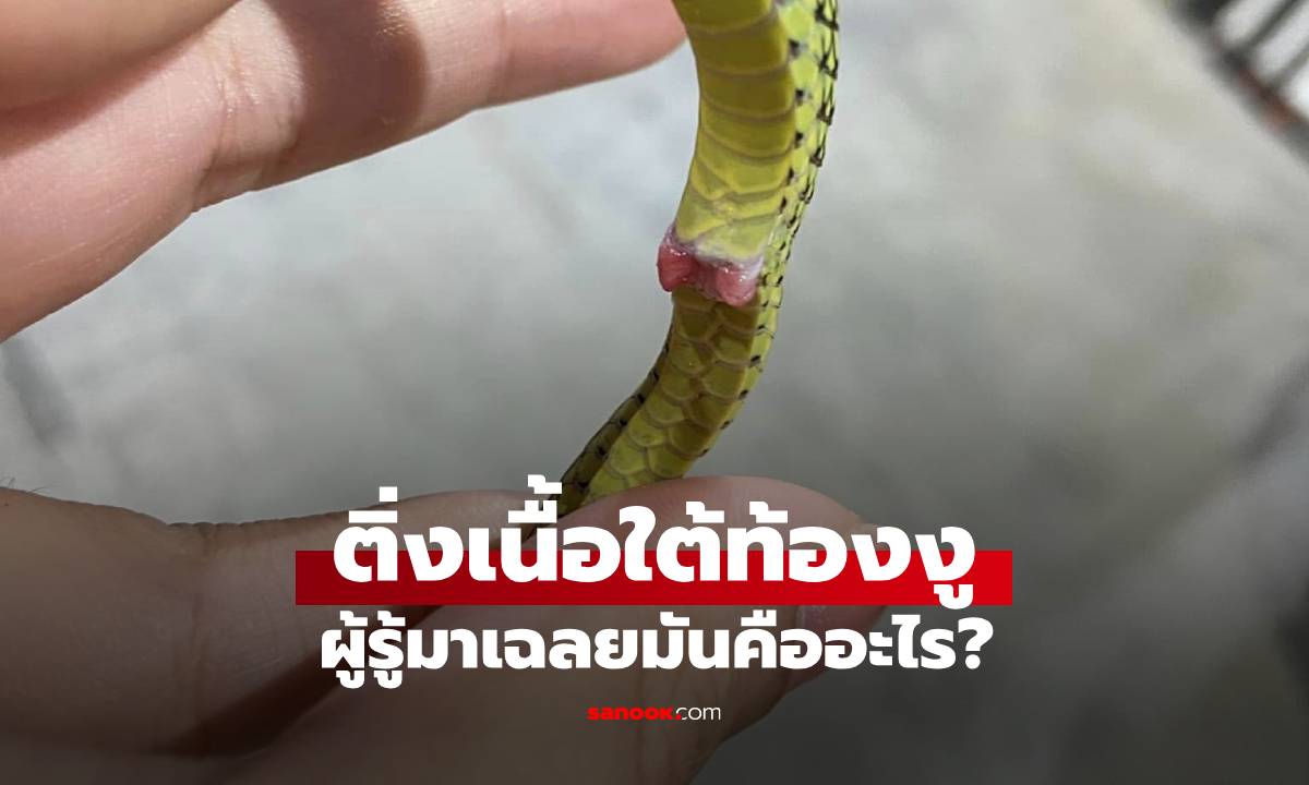 繵š  ͧ٤? ¤ ͹ռ