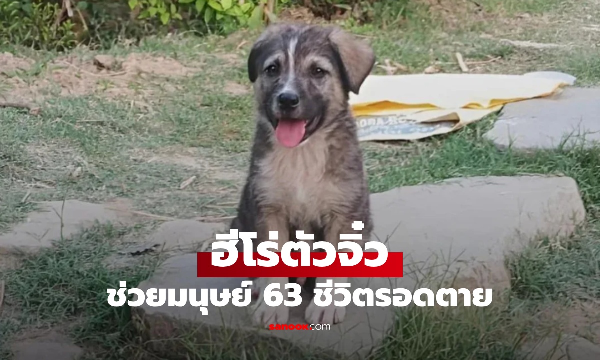 Ǩ! ١ 5 ͹ ªǺҹ 63 Ե ʹ´Թ ͧԴҡ