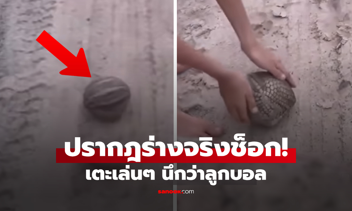 (คลิป) นักผจญภัยพบ "ลูกบอลประหลาด" กลางป่า เตะเล่น 2 ที ปรากฏร่างจริงช็อก!