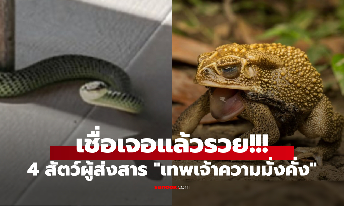 ไม่ใช่แค่งู! 4 สัตว์ดูน่ากลัว แต่เชื่อคือผู้ส่งสาร &quot;เทพเจ้าแห่งความมั่งคั่ง&quot; เข้าบ้านไหนก็ีรวย!!" width="100" height="100