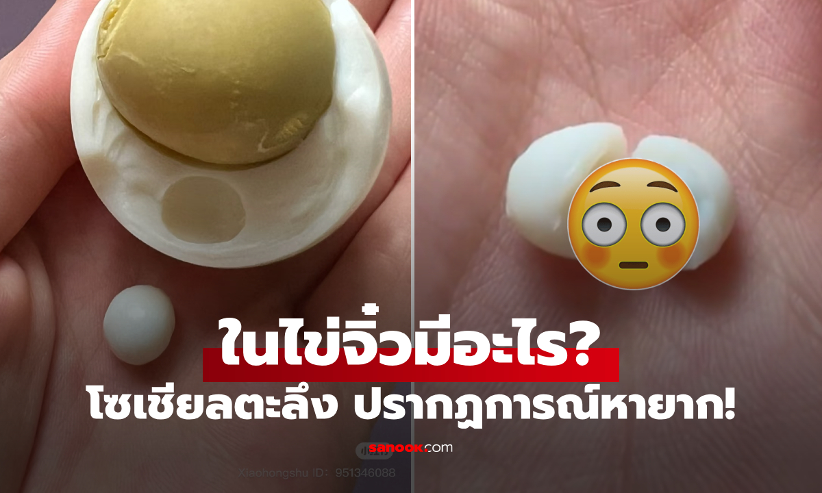 แค่ปอกไข่ต้ม ดันเจอเซอร์ไพรส์ ของหายากระดับตำนาน ชาวเน็ตขอตั้งชื่อ "แม่ไข่" ที่ติดบั๊ก!