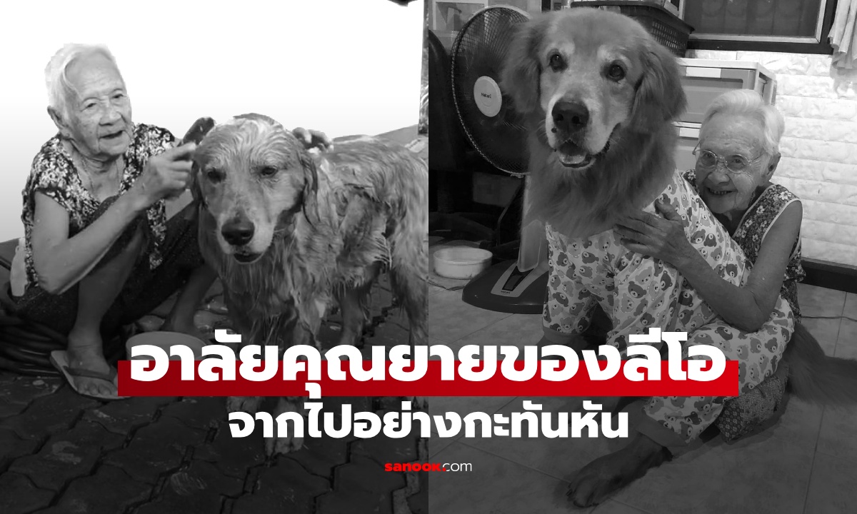 อาลัย "คุณยาย" เพจลีโอไอ้หนูของยาย เสียชีวิตกะทันหัน หลังแอดมิตไม่ถึง 24 ชม.