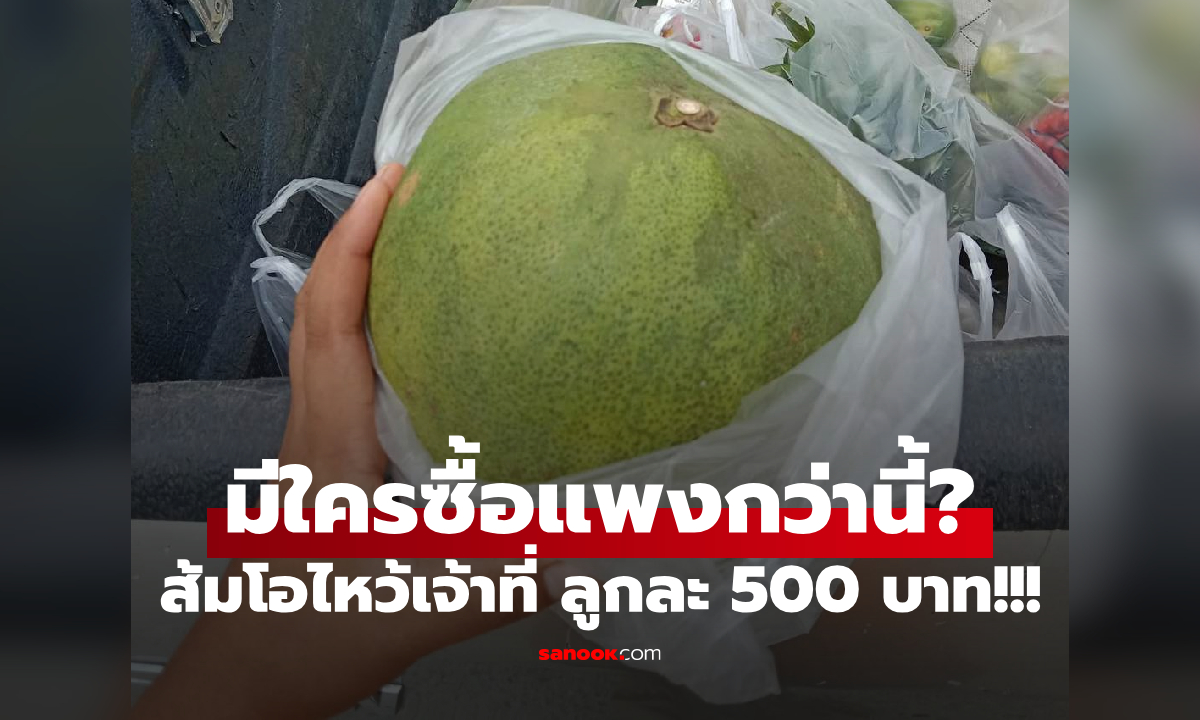 มีอะไรดี?! สาวซื้อของไหว้ "ส้มโอ" แพงกว่าทุเรียน ลูกละ 500 บาท ได้เป็นลูกรักเจ้าที่แน่นอน