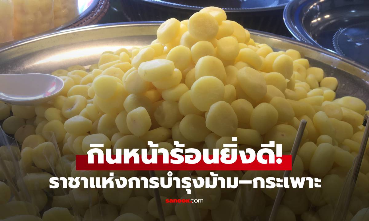 คนไทยรู้จักดี! "ราชาแห่งการบำรุงม้าม–กระเพาะ" ดีกว่ามันเทศ โภชนาการแซงเผือก