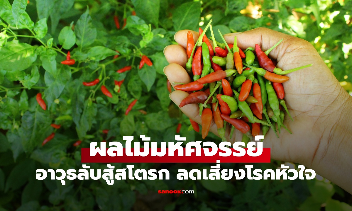 ผลไม้มหัศจรรย์ ที่คนไทยขาดไม่ได้ อาวุธลับต้าน "สโตรก" ลดความเสี่ยงโรคหัวใจ