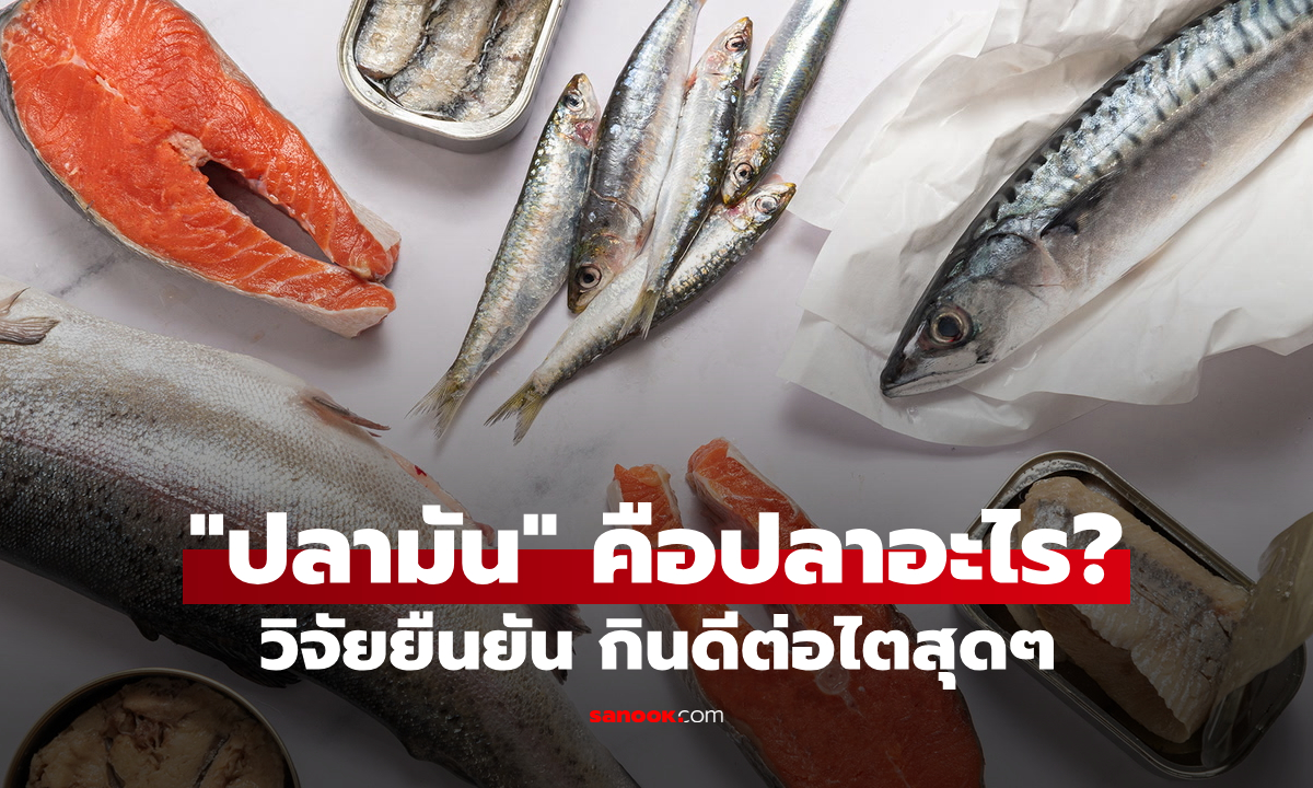 ค้นพบแล้ว "กินปลามัน" วิจัยยืนยัน เป็นเกาะปกป้องไต ไม่ได้มีแค่ซาบะ-แซลมอน-ทูน่า!