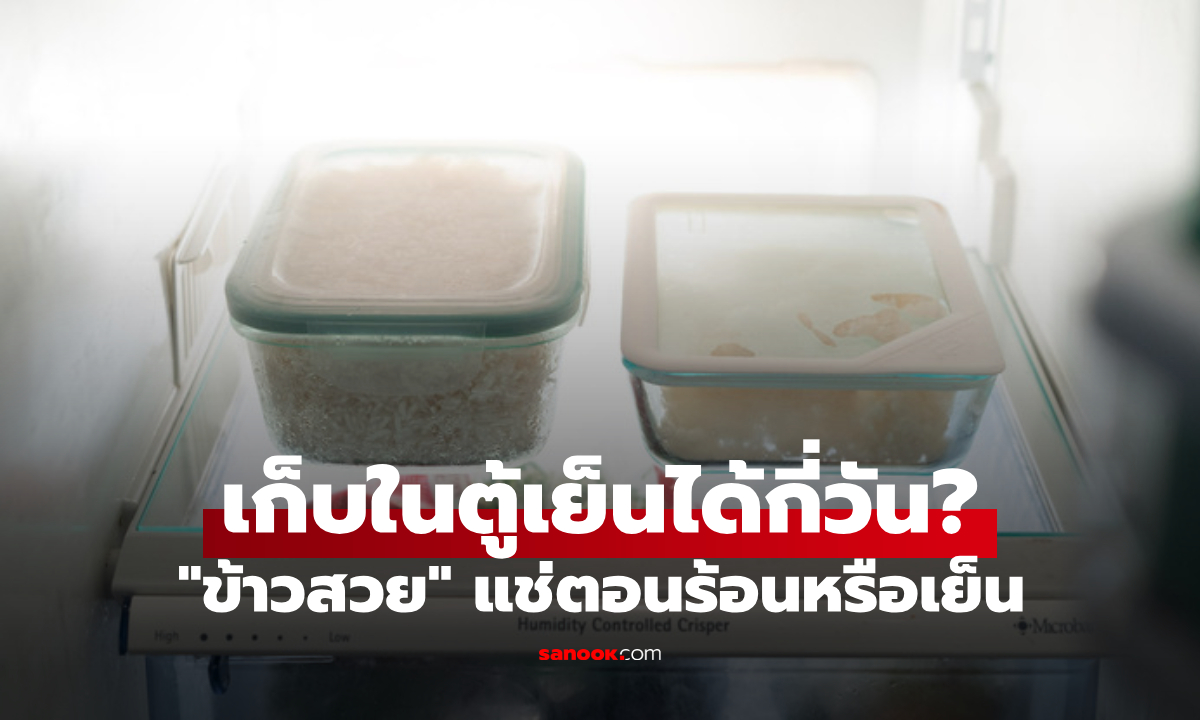 หลายคนไม่รู้! "ข้าวสวย" เก็บในตู้เย็นได้กี่วัน แล้วควรแช่ตอนร้อนๆ หรือต้องรอให้เย็นก่อน?