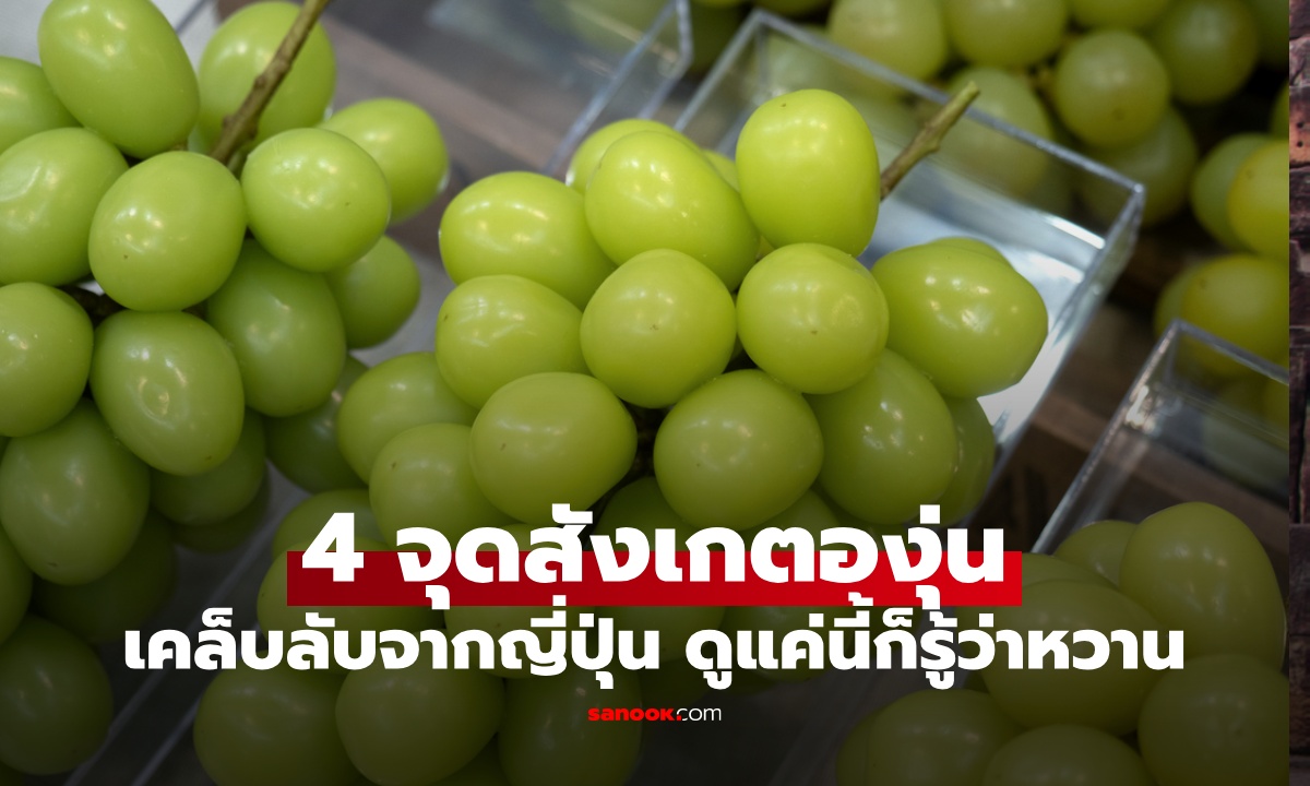 4 จุดสังเกต "ราชินีองุ่น" เคล็ดลับคนญี่ปุ่น เลือกยังไงไม่ให้พลาด ดูตรงนี้ก็รู้ว่าหวาน