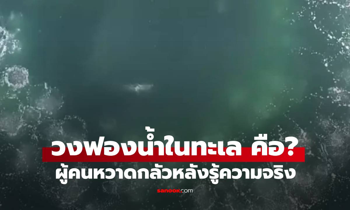 ผู้คนผงะ เมื่อรู้ความจริงว่า "วงฟองน้ำในทะเล" คืออะไร? ฝันร้ายที่ไม่มีใครอยากเจอ