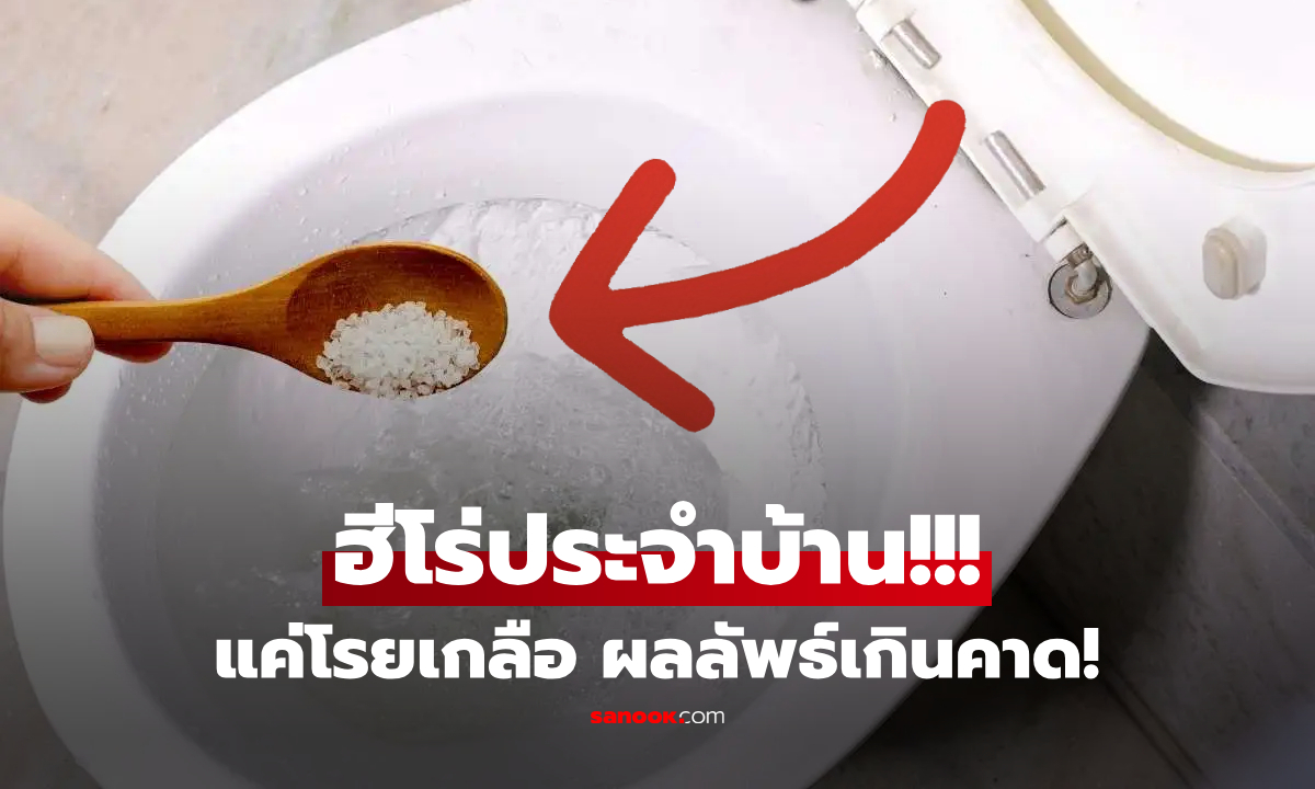 ต่างชาติแชร์ทริค "โรยเกลือลงชักโครก" ทั้งบ้านได้ประโยชน์เกินคาด แต่ต้องทำบ่อยแค่ไหน?!