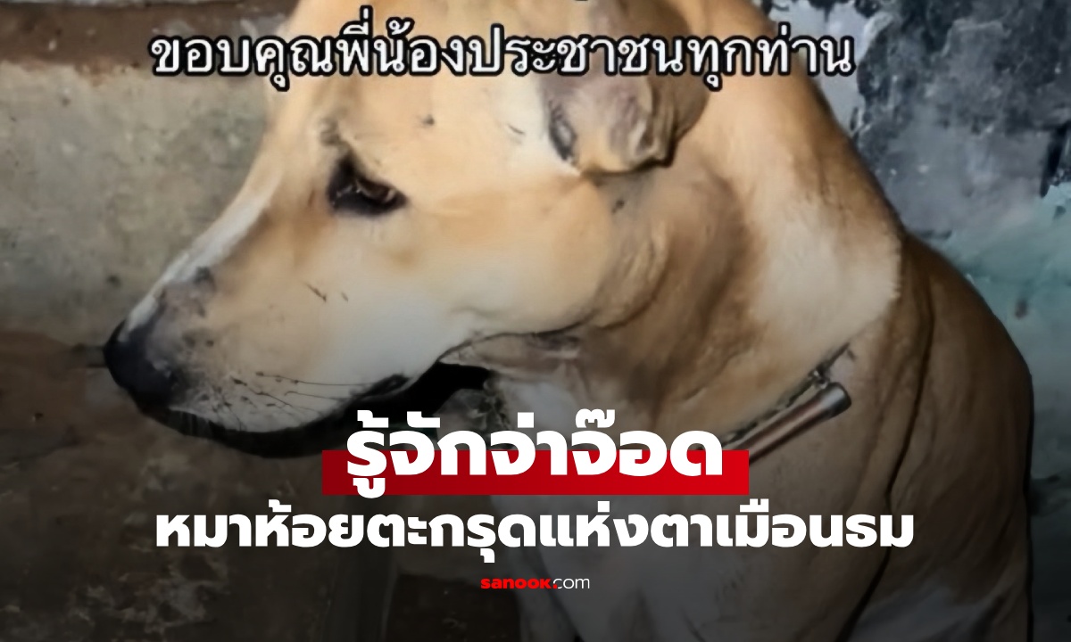 รู้จัก "จ่าจ๊อด" ทหารสี่ขาแห่งปราสาทตาเมือนธม ห้อยตะกรุดสุดขลัง ยังปลอดภัยดี