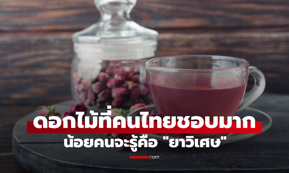 ดอกไม้ที่คนไทยชอบมาก! น้อยคนจะรู้ "ยาวิเศษ" ต้านมะเร็ง บำรุงร่างกาย เสริมผิวสวย