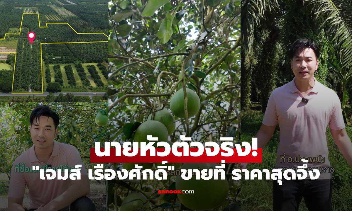 นายหัวตัวจริง! "เจมส์ เรืองศักดิ์" ประกาศขายสวนปาล์ม-ส้มโอ 60 ไร่ ราคาสุดจึ้ง