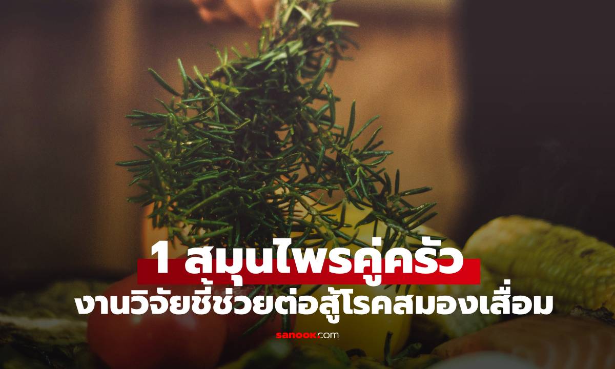 ที่ไทยมี! 1 สมุนไพรคู่ครัว แพทย์โบราณ-งานวิจัย ยืนยันช่วยป้องกัน "โรคสมองเสื่อม"