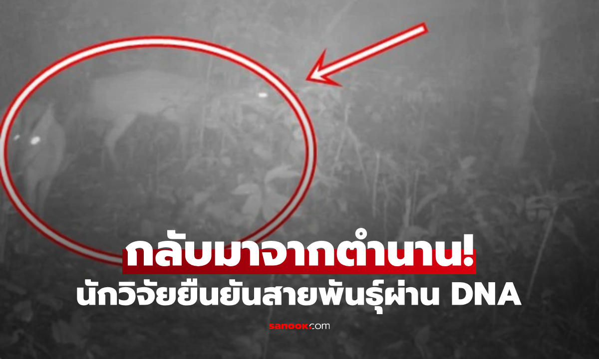 กลับมาจากตำนาน! "สัตว์หายาก" ที่สาบสูญไป 100 ปี จู่ๆ โผล่อวดโฉม ส่อพลิกฟื้นทั้งผืนป่า