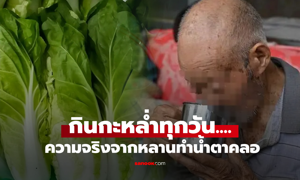 พ่อเฒ่าหอบเงินมาอยู่กับลูก แต่ได้กิน "กะหล่ำ" ทุกวัน จนหลานหลุดพูดความจริง สะเทือนใจ!