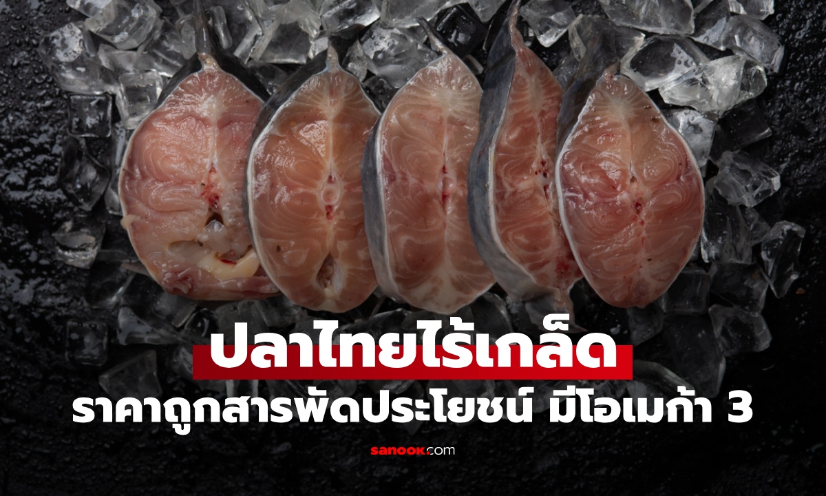 ปลาไทยไร้เกล็ด 1 ชนิด สารพัดประโยชน์ มีโอเมก้า 3 ของดีไม่จำเป็นต้องแพง!