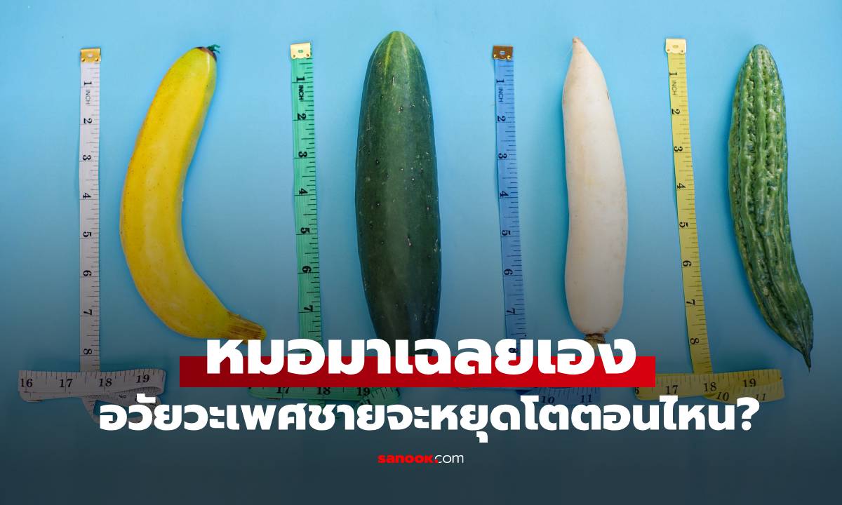 แพทย์เฉลย! อายุเท่าไหร่? ที่ความยาว-ขนาดรอบ ของ "อวัยวะเพศชาย" จะคงที่