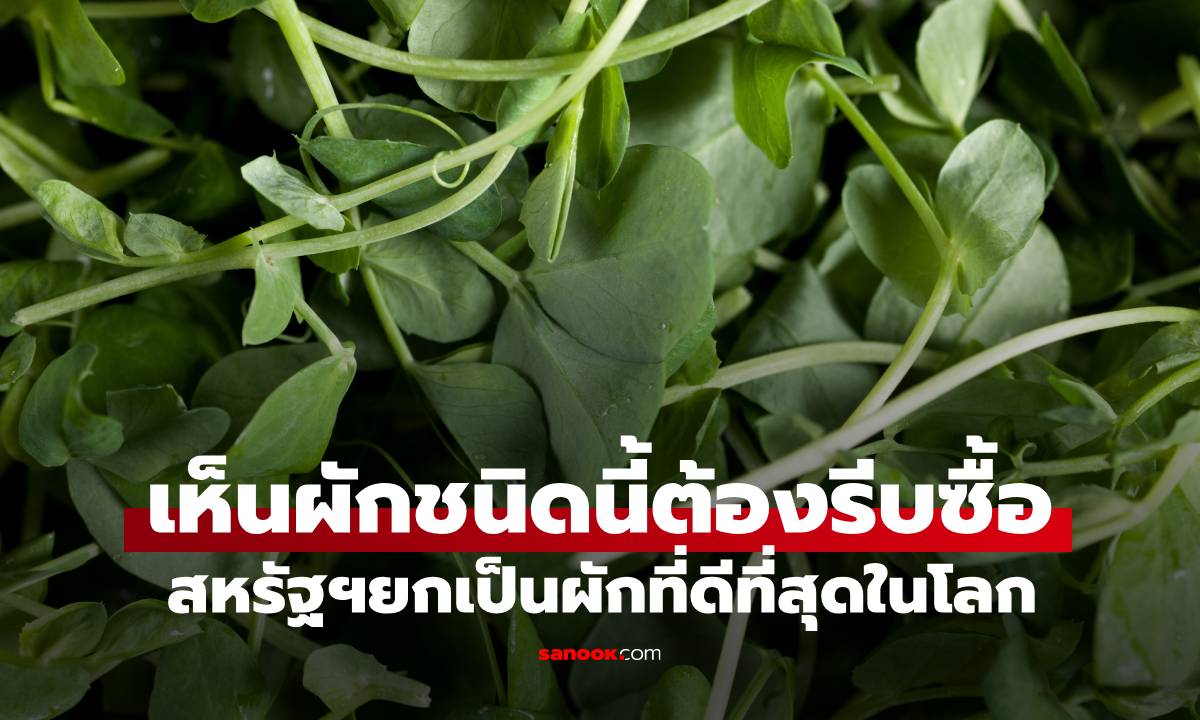 ไปตลาดเห็นผักชนิดนี้ต้องรีบซื้อทันที "ผักดีที่สุดในโลก" ป้องกันมะเร็งได้ดีเยี่ยม