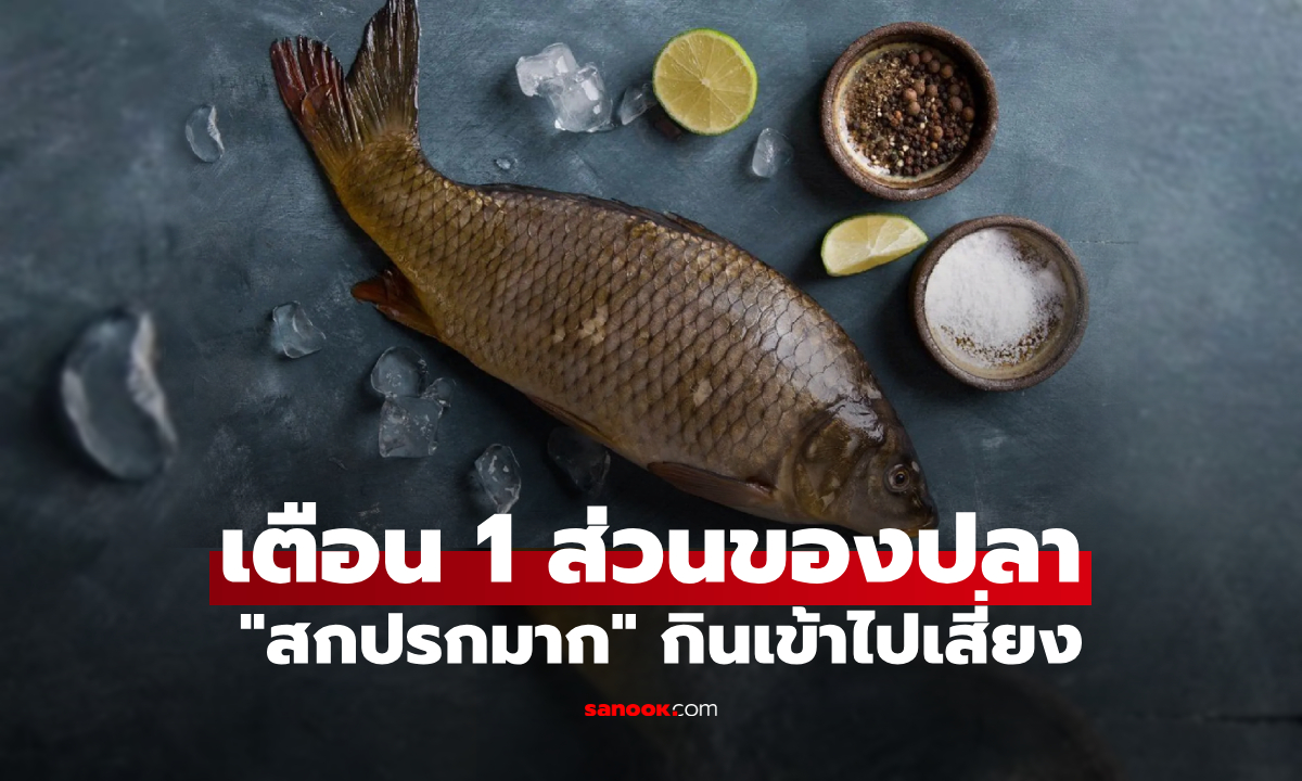 ไม่ใช่น้ำดี! ส่วนหนึ่งของปลาที่ "สกปรกมาก" กินเข้าไปไม่ระวัง ร่างกายอาจต้องจ่ายแพง