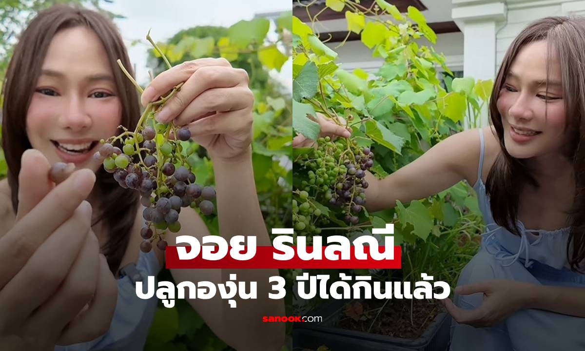 "จอย รินลณี" อวดองุ่นฝีมือตัวเอง ปลูกกลางกรุงเทพฯ 3 ปีได้กินแล้ว