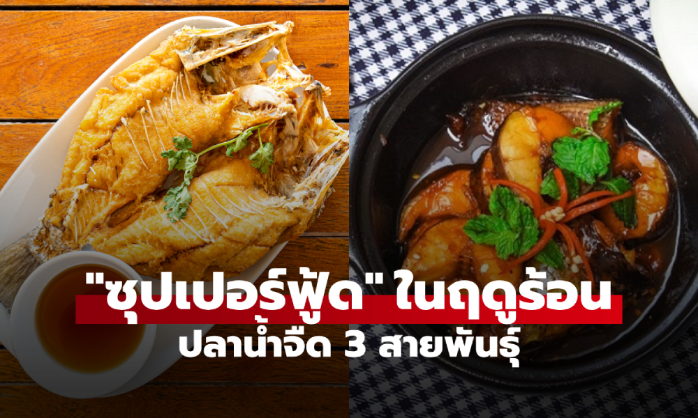 แซลมอนหลบไป! อวยยศ 3 ปลาน้ำจืด "ซุปเปอร์ฟู้ด"  กินคลายร้อน รสชาติดี ป้องกันหลายโรค