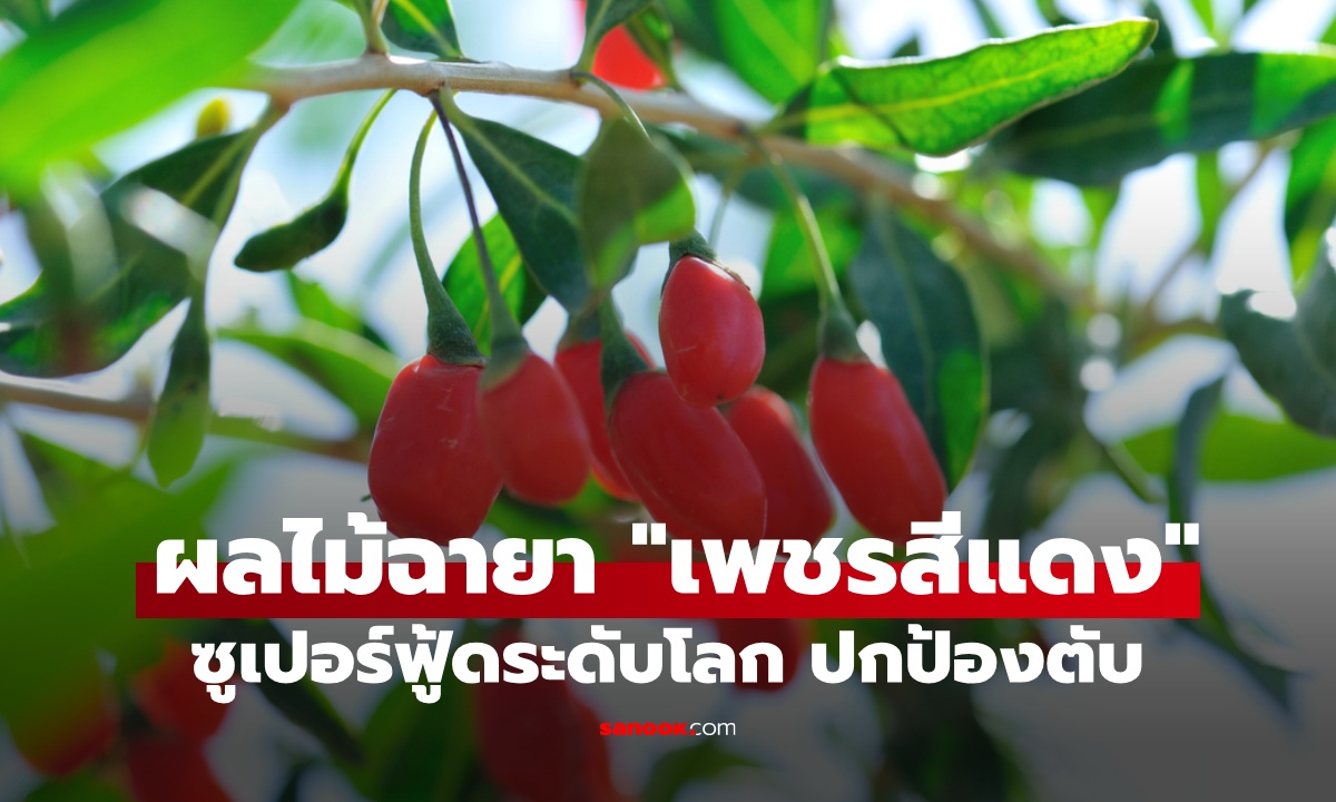 ผลไม้ 1 ชนิด ถูกยกย่องเป็น "เพชรสีแดง" ซูเปอร์ฟู้ดปกป้องตับ บำรุงตา ต้านมะเร็ง