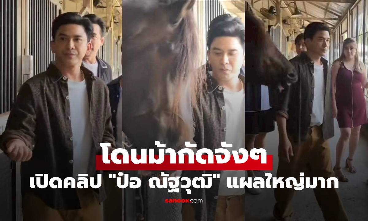 เปิดคลิป "ป๋อ ณัฐวุฒิ" สะดุ้งเลย โดนม้ากัดจังๆ แผลใหญ่มาก
