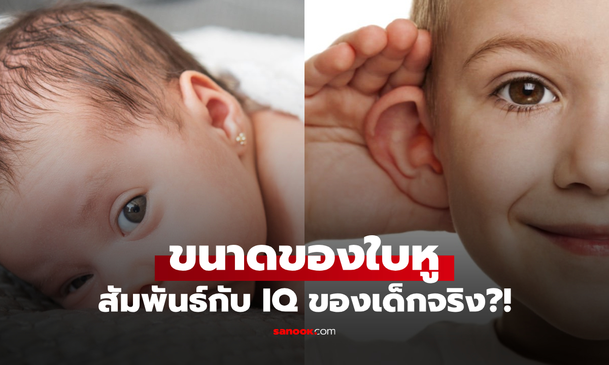หูใหญ่หรือหูเล็ก? เด็กแบบไหนฉลาดกว่า ศจ.เผยผลลัพธ์งานวิจัย อึ้ง พบเชื่อมโยงกันจริง!