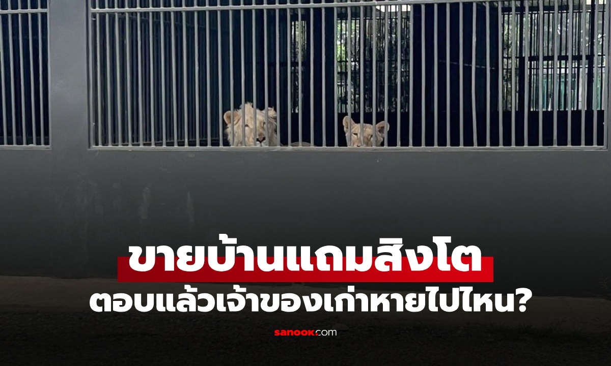 ฮือฮา ประกาศขายบ้านที่เชียงใหม่ "แถมสิงโต" ตอบแล้วเจ้าของเก่าหายไปไหน?