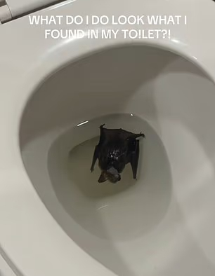 1010326