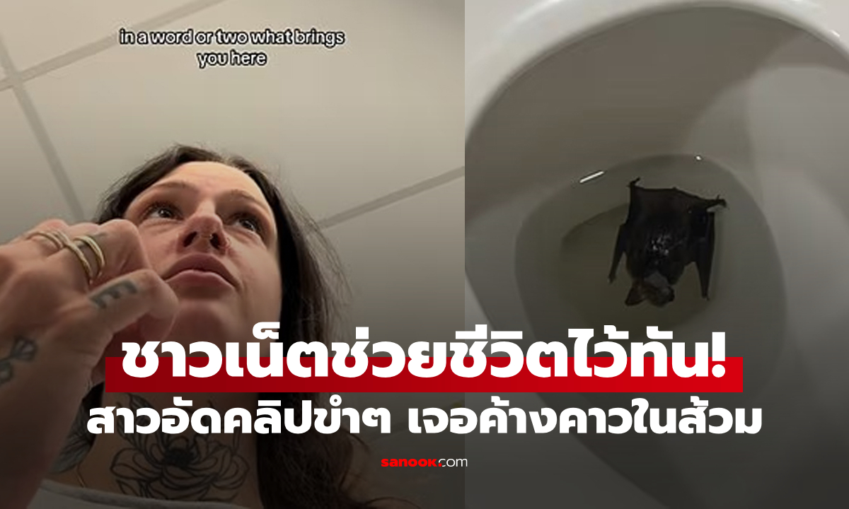 เกือบตายไม่รู้ตัว! สาวอัดคลิปฮาๆ เจอซากค้างคาวในส้วม สุดท้ายชาวเน็ตช่วยชีวิตไว้ทัน