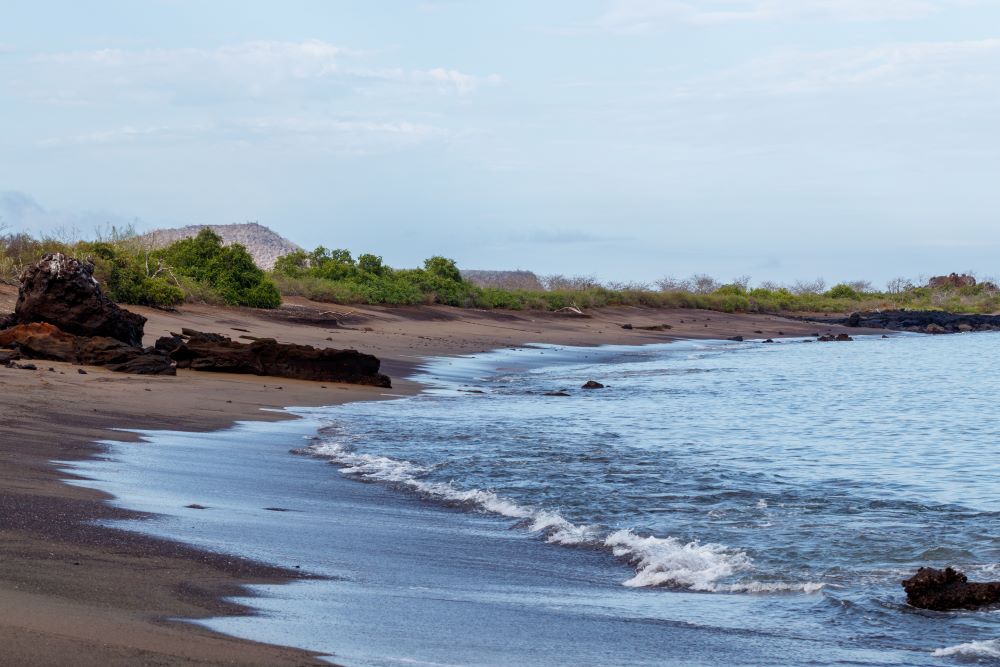 เกาะกาลาปากอส - Galapagos Island