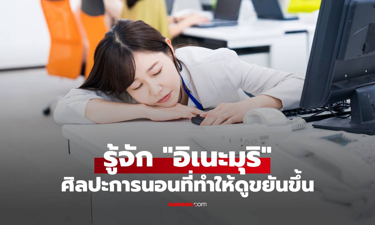 รู้จัก "อิเนะมุริ" งีบแบบโปร! ศิลปะการหลับที่ทำให้คุณดูขยัน…แม้กำลังหลับอยู่