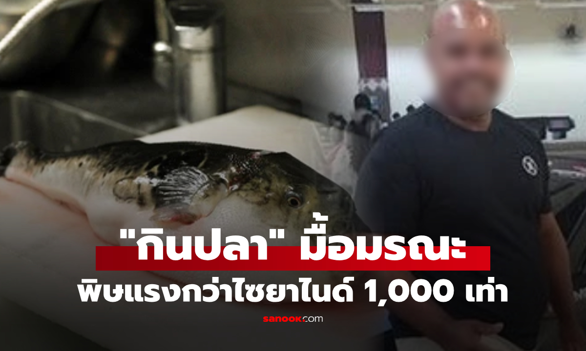 สิ้นชื่อหลัง "กินปลา" ที่ได้จากเพื่อน พิษแรงกว่าไซยาไนด์ 1,000 เท่า ปรุงสุกก็ยังอันตราย!