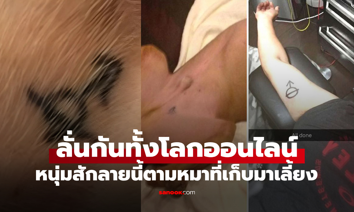 หนุ่มเก็บหมามีรอยสักมาเลี้ยง รักมากจึงไปสักตาม ก่อนรู้ความหมายที่แท้จริงสุดพีก!