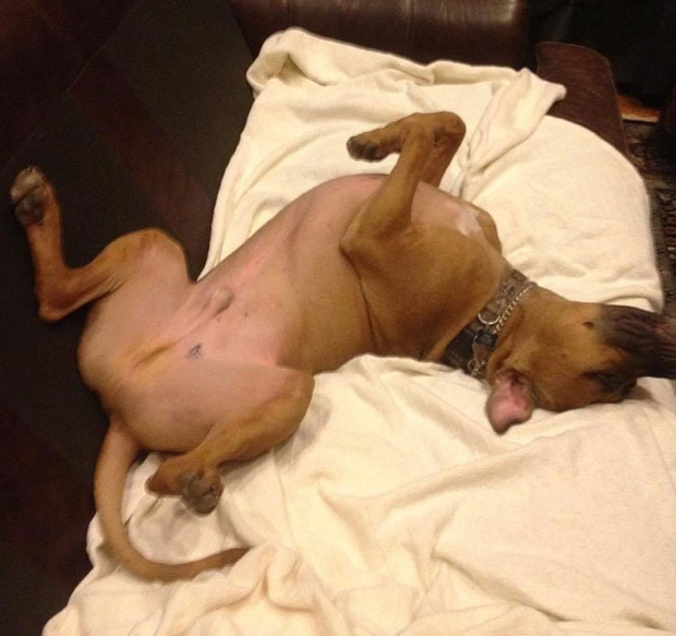 photo-1-159888574237221162387