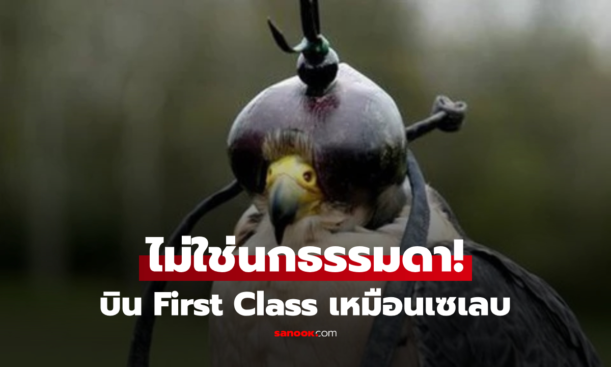"นกแพงที่สุดในโลก" ราคาพุ่งสุด 15 ล้าน มีพาสปอร์ต ขึ้นเครื่องนั่ง First Class!