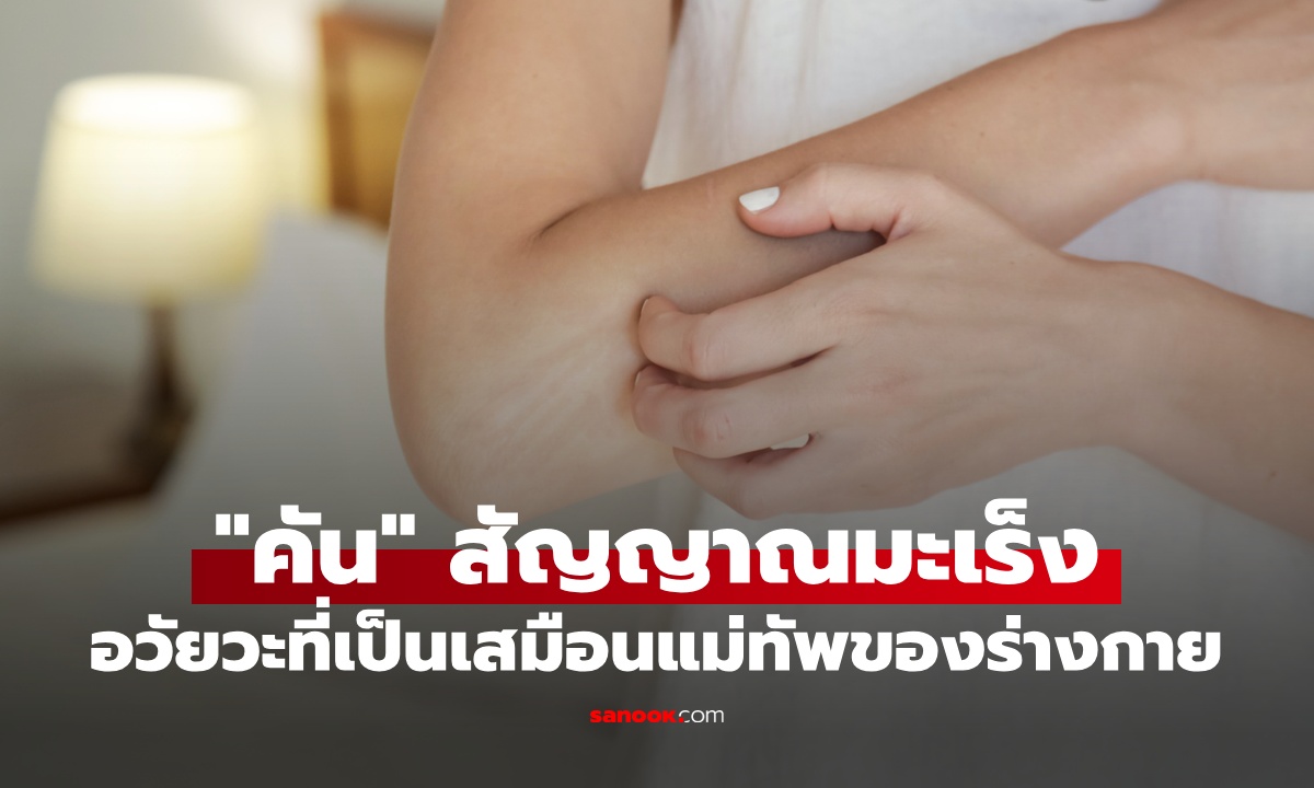 อวัยวะที่เป็น "แม่ทัพ" ภายในร่างกาย อาจส่งสัญญาณเตือนมะเร็ง จากอาการคัน 2 จุดนี้