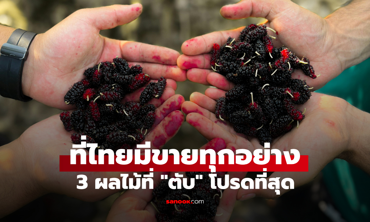 ผลไม้ 3 ชนิด ขึ้นแท่น "อันดับทองคำ" ที่ตับชื่นชอบมากที่สุด ที่ไทยมีทุกอย่าง