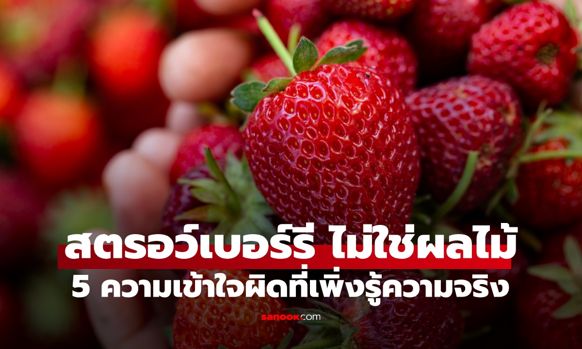 5 ความเข้าใจผิดเรื่อง "สตรอว์เบอร์รี" ผลไม้ที่โลกคุ้นเคย ที่จริงแล้วไม่ใช่ผลไม้