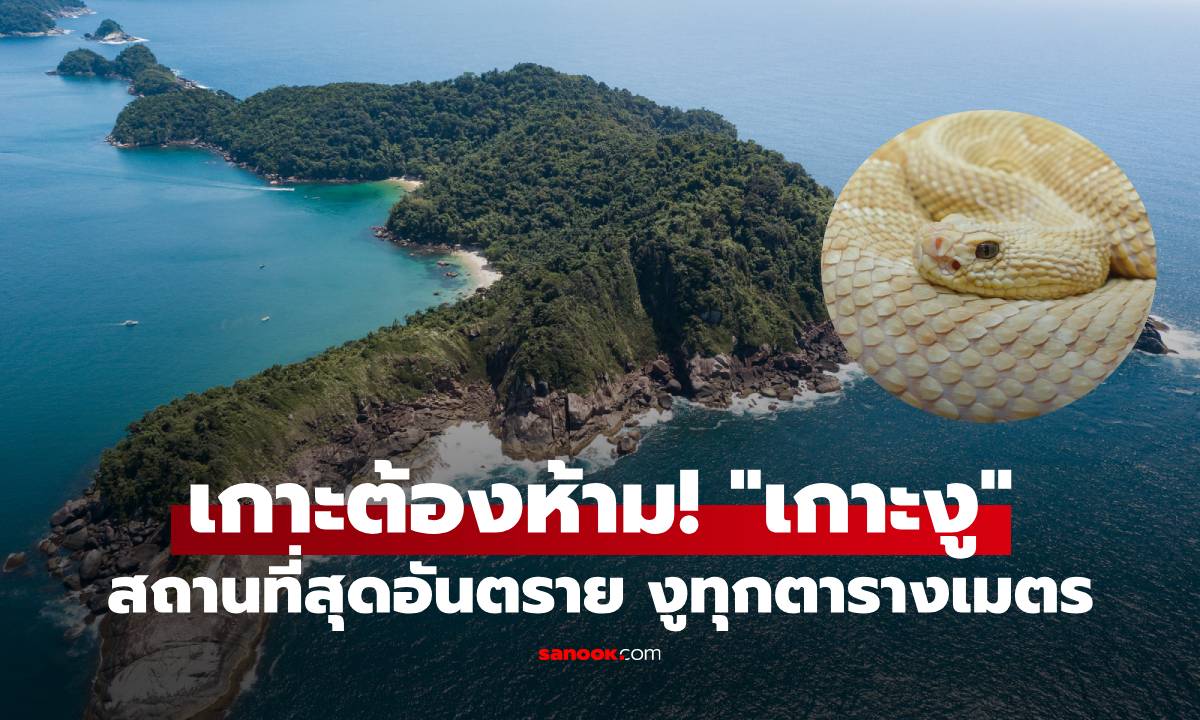เกาะต้องห้าม! เผยความลับ “เกาะงู” สถานที่สุดอันตราย งูทุกตารางเมตร