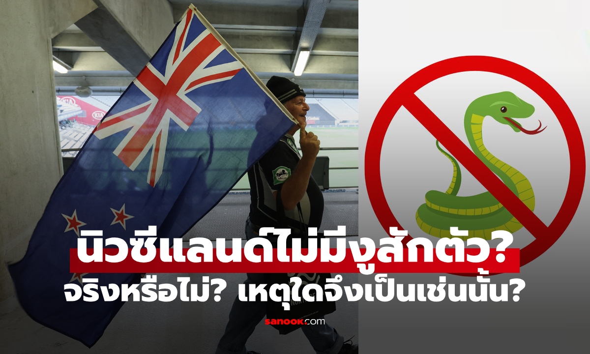ไขข้อสงสัย: ทำไม "ประเทศนิวซีแลนด์" ถึง "ไม่มีงู" อาศัยอยู่แม้แต่ชนิดเดียว?