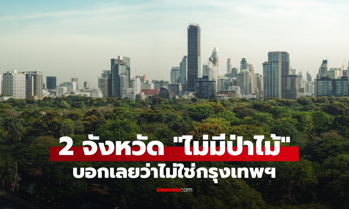 รู้หรือไม่ 2 จังหวัดในประเทศไทย "ไม่มีป่า" บอกเลยว่าไม่ใช่กรุงเทพฯ