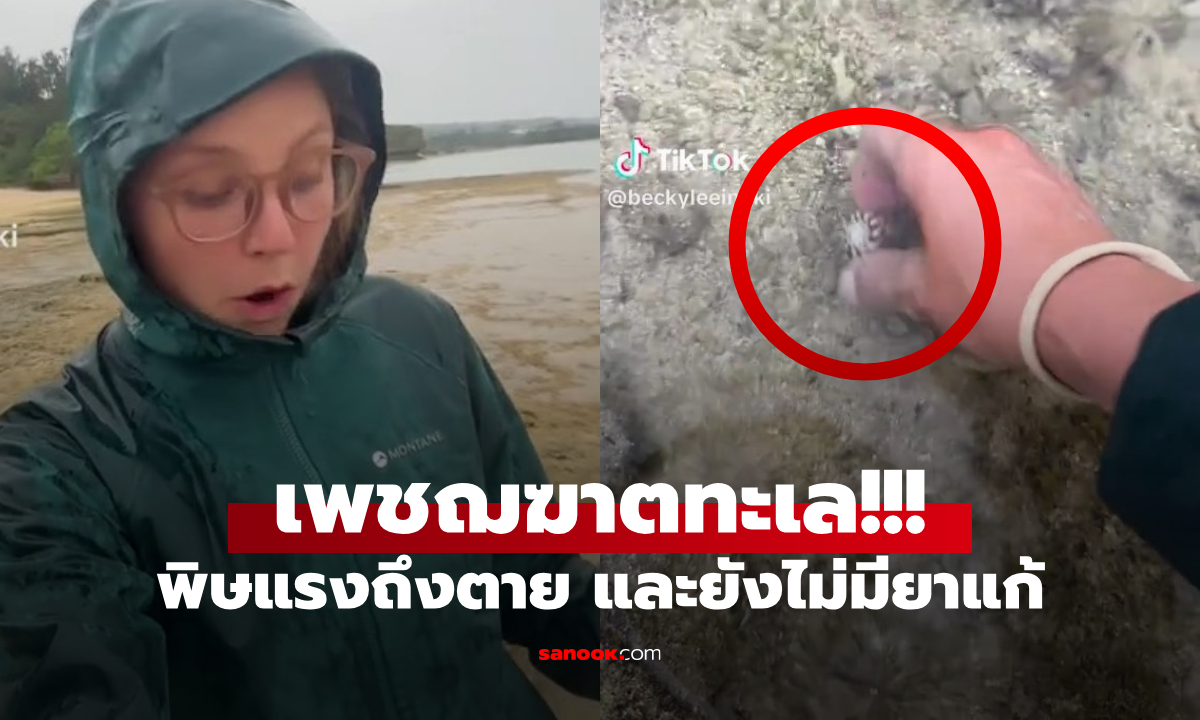 คลิป 35 ล้านวิว สาวเผยโฉม "เพชฌฆาตทะเล" บนชายหาด พิษแรงถึงตาย และยังไม่มียาแก้!
