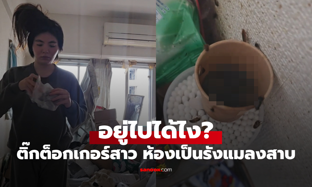 อึ้งแทบอ้วก! ติ๊กต็อกเกอร์สาว ถูกบังคับย้ายออก หลังห้องกลายเป็นรังแมลงสาบ สภาพสุดช็อก