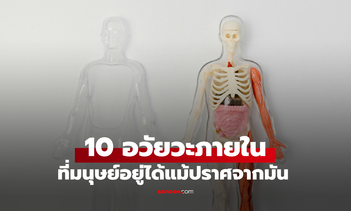 หมอเมืองนอก เผย 10 อวัยวะที่มนุษย์สามารถมีชีวิตอยู่ได้แม้ไม่มีมัน อันดับ 1 เดาไม่ยาก