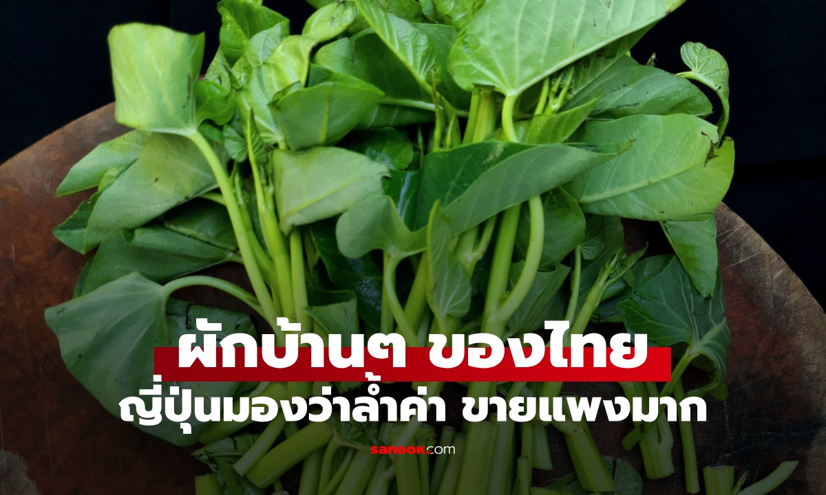 ผักบ้านๆ ของไทย ญี่ปุ่นยกเป็น "อาหารล้ำค่า" บำรุงหัวใจ ล้างพิษ ขายแพงจนอึ้ง!
