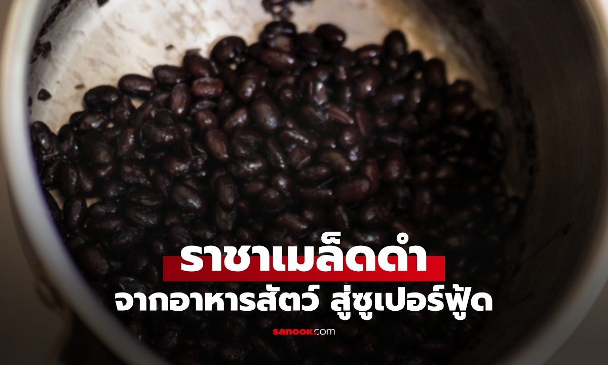 จากอาหารสัตว์ สู่ซูเปอร์ฟู้ด "ราชาเมล็ดดำ" โปรตีนสูง บำรุงไต หัวใจชอบมาก
