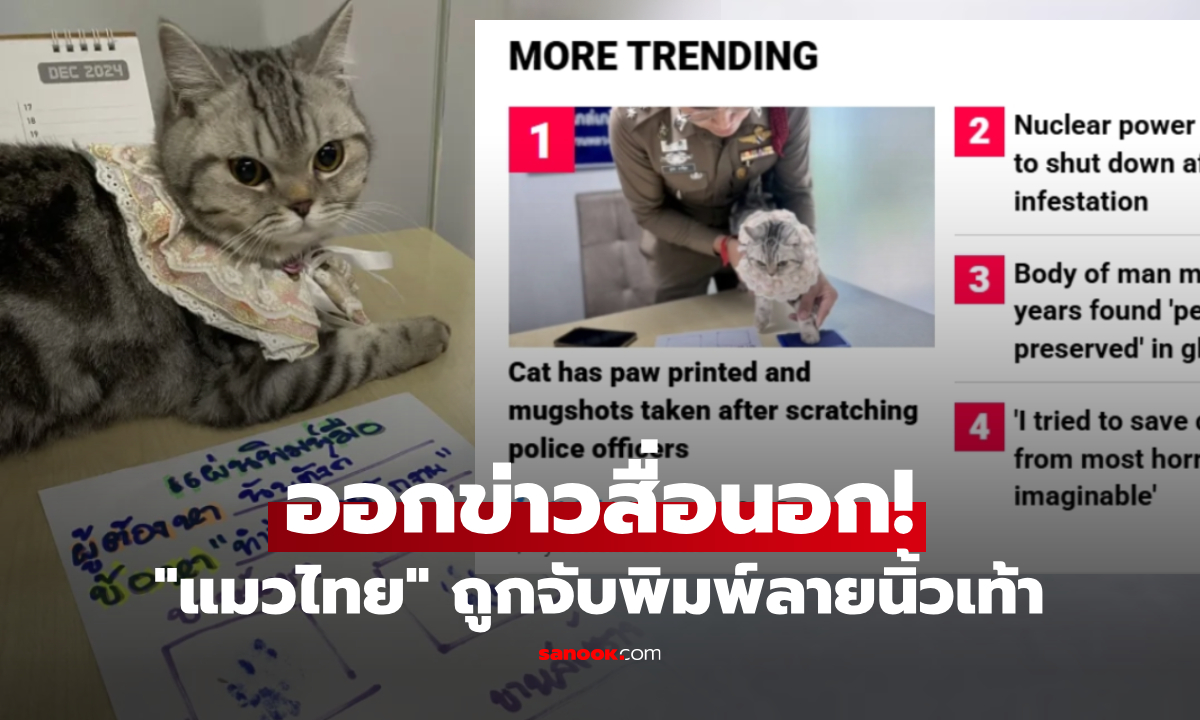 ดังไกลถึงสื่อนอก! รูปแมวไทย "นับตังค์"  ถูกจับพิมพ์ลายเท้า ตร.เผยข้อหานี้ได้มาอย่างไร?